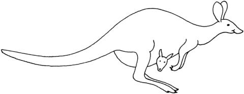 Hopping Kangaroo Coloring Page